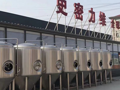 黄石精酿啤酒设备厂—市场规模与跨界新需求